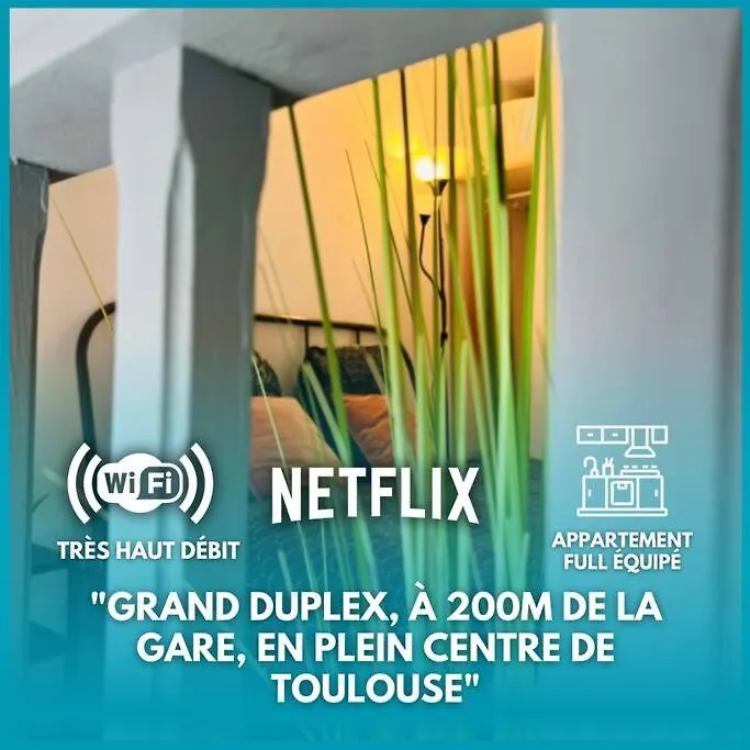 Duplex - Centre - Gare Matabiau contacts